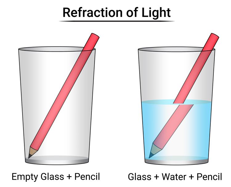 A pencil in a glass of water appears bent due to refraction.