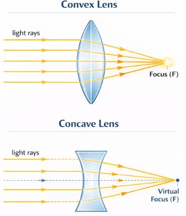 Converging and diverging action of spherical mirrors
