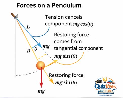 Force on a pendulum