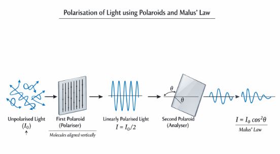 Diagram showing unpolarised light passing through a polariser and an analyser, illustrating Malus law