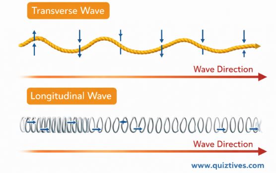 Transverse vs longitudinal waves