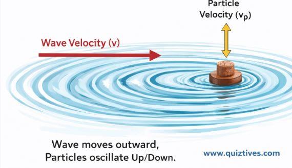 Wave vs Particle velocity