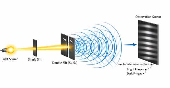 Diagram of Youngs double slit setup showing a light source passing through two slits and creating an interference pattern on a screen