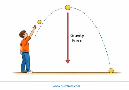 gravity_force_ball_motion_diagram