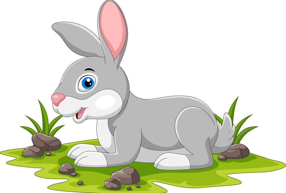 A cute cartoon rabbit