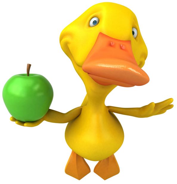 A cute cartoon duck