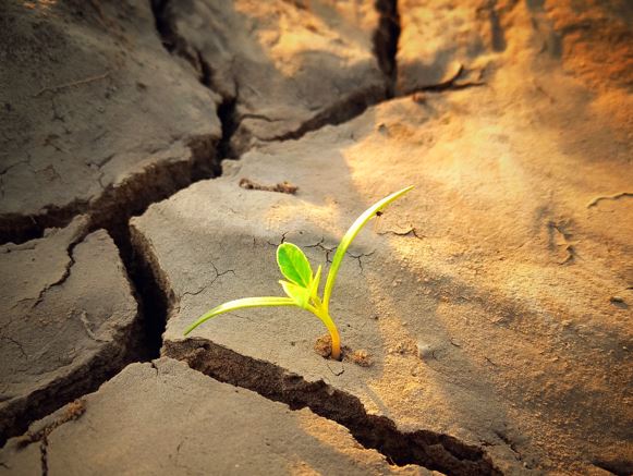 A single drop of rain falling on dry, cracked earth with a small green sprout emerging.