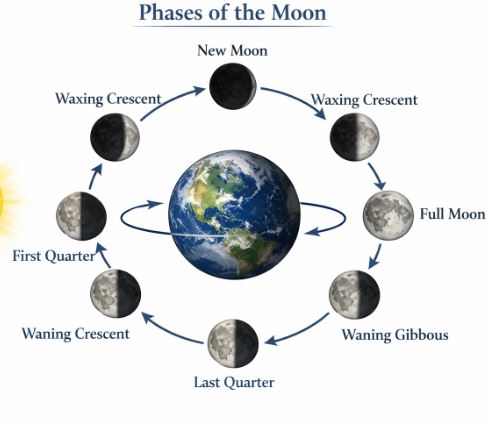 Phases of the Moon Diagram