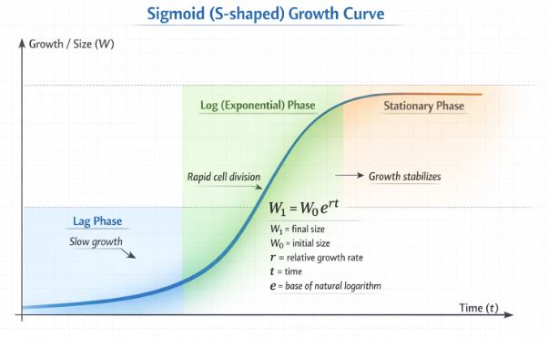 Sigmoid Growth Curve showing Lag, Log, and Stationary Phases